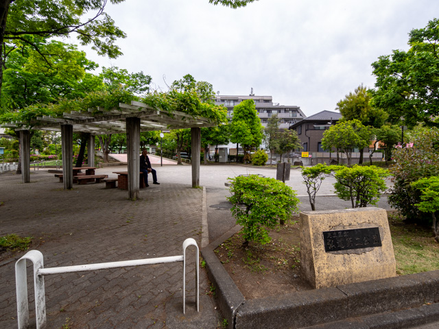画像を別ウィンドウで表示します 画像