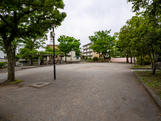 画像を別ウィンドウで表示します 画像