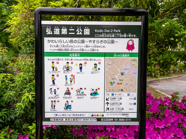 画像を別ウィンドウで表示します 画像