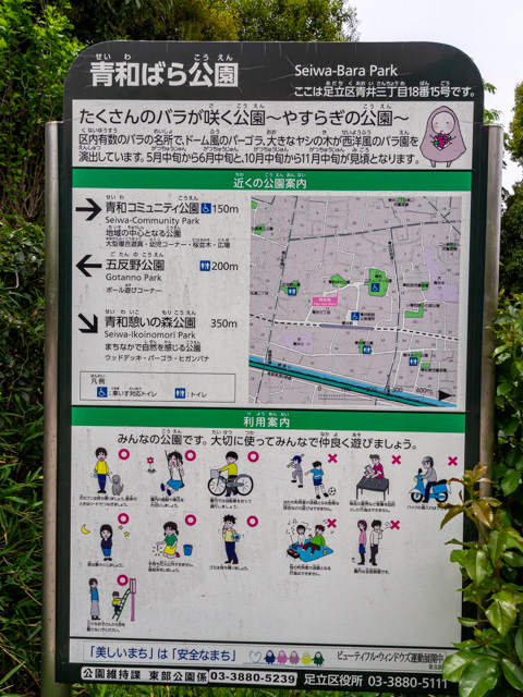 画像を別ウィンドウで表示します 画像