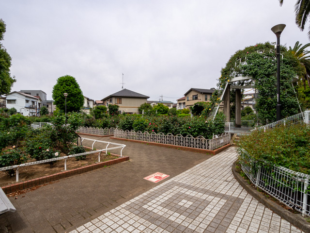 画像を別ウィンドウで表示します 画像
