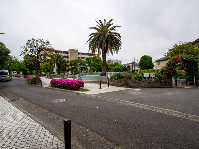 画像を別ウィンドウで表示します 画像