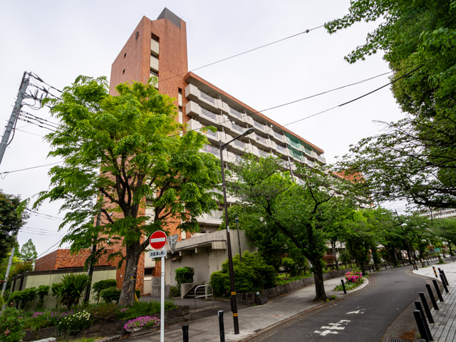 画像を別ウィンドウで表示します 画像