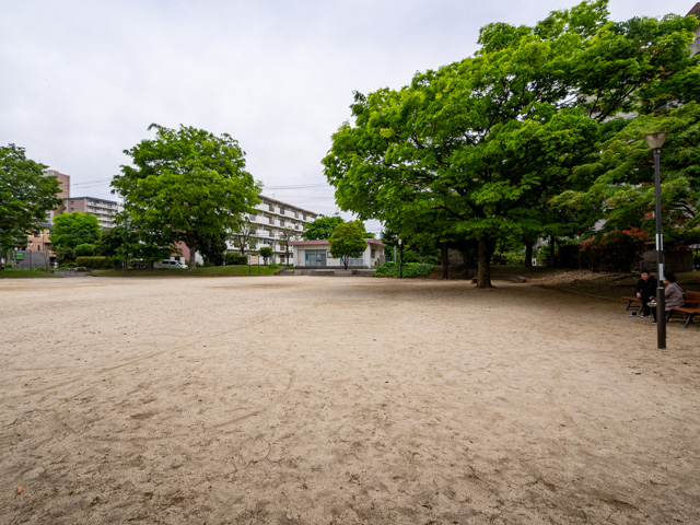 画像を別ウィンドウで表示します 画像
