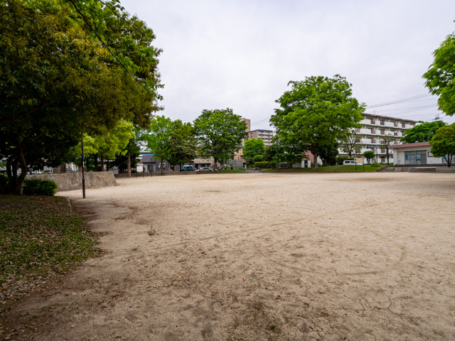 画像を別ウィンドウで表示します 画像