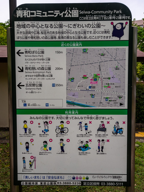 画像を別ウィンドウで表示します 画像