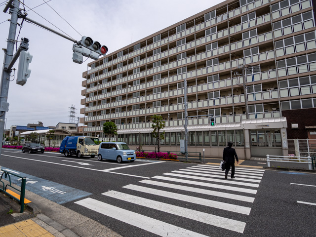画像を別ウィンドウで表示します 画像