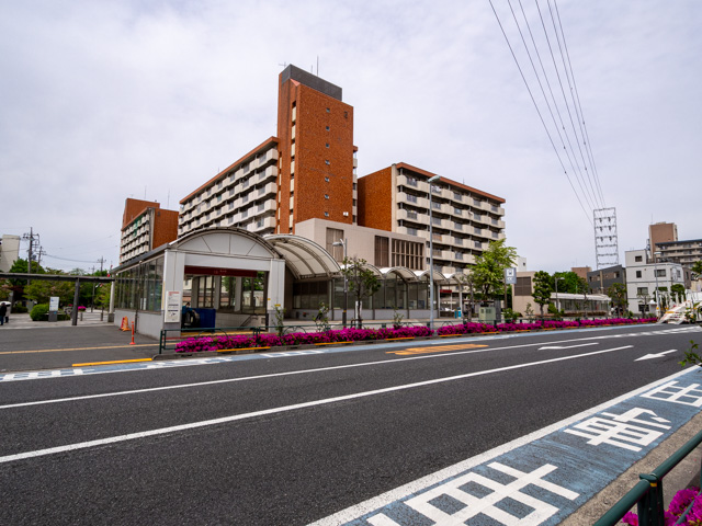 画像を別ウィンドウで表示します 画像