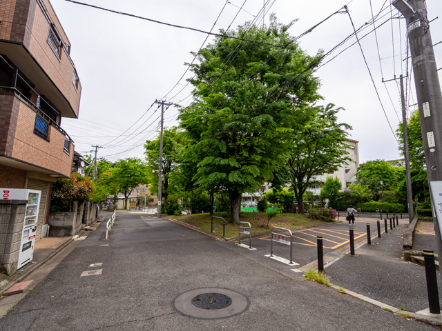 画像を別ウィンドウで表示します 画像