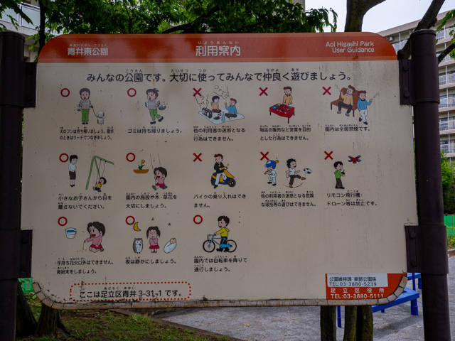 画像を別ウィンドウで表示します 画像