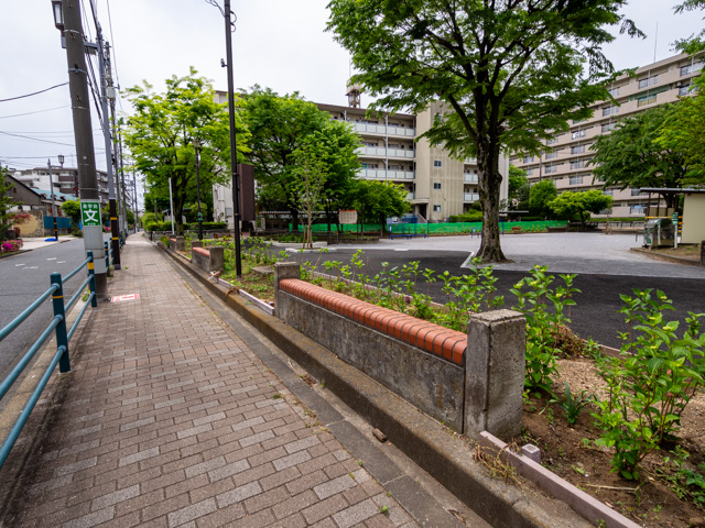 画像を別ウィンドウで表示します 画像