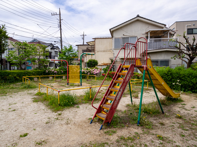 画像を別ウィンドウで表示します 画像