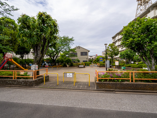 画像を別ウィンドウで表示します 画像