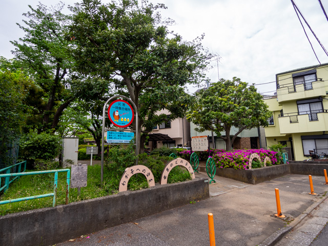 画像を別ウィンドウで表示します 画像