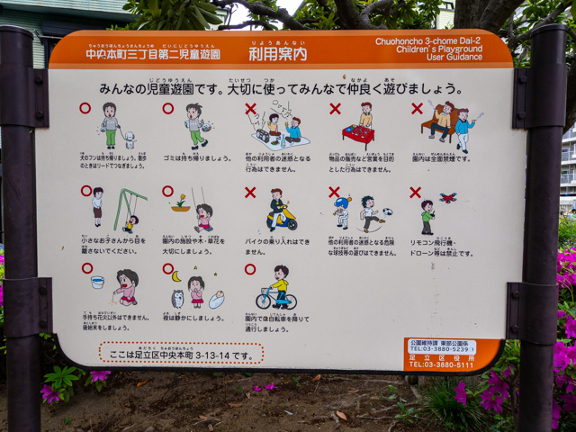 画像を別ウィンドウで表示します 画像