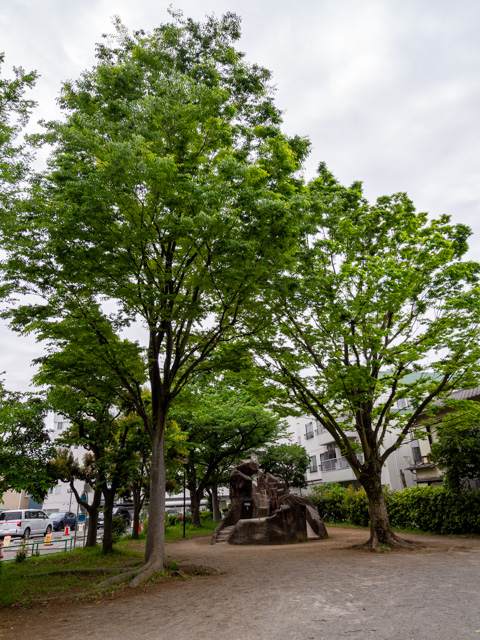 画像を別ウィンドウで表示します 画像