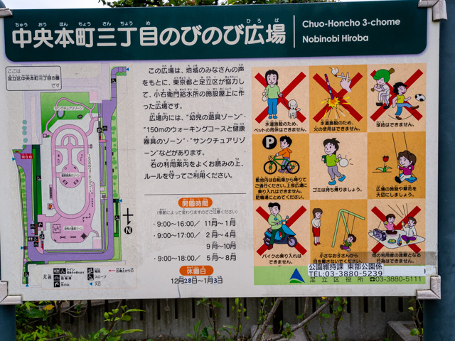 画像を別ウィンドウで表示します 画像