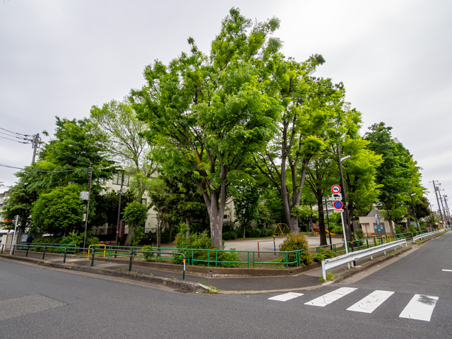 画像を別ウィンドウで表示します 画像