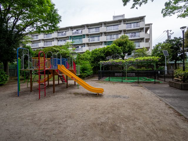 画像を別ウィンドウで表示します 画像