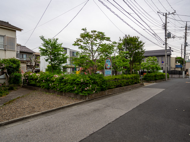 画像を別ウィンドウで表示します 画像