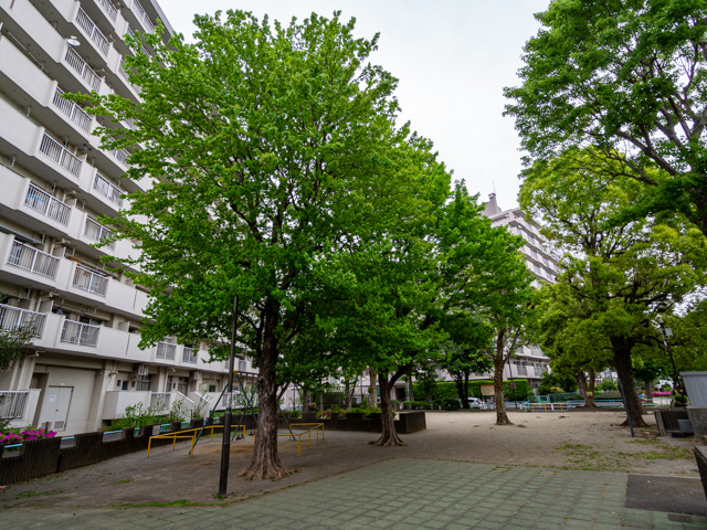 画像を別ウィンドウで表示します 画像
