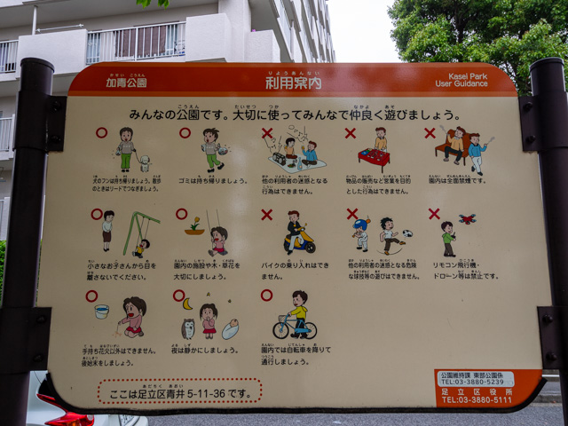画像を別ウィンドウで表示します 画像