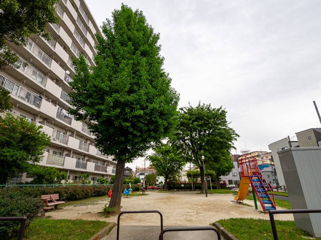 画像を別ウィンドウで表示します 画像