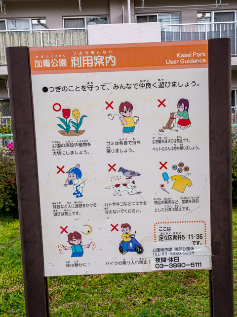 画像を別ウィンドウで表示します 画像