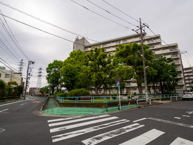 画像を別ウィンドウで表示します 画像
