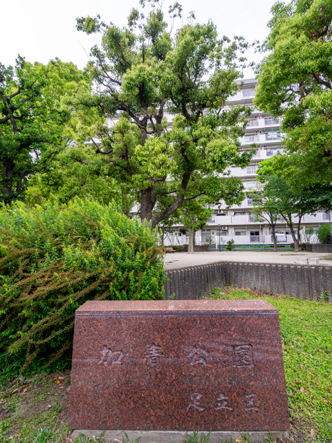 画像を別ウィンドウで表示します 画像