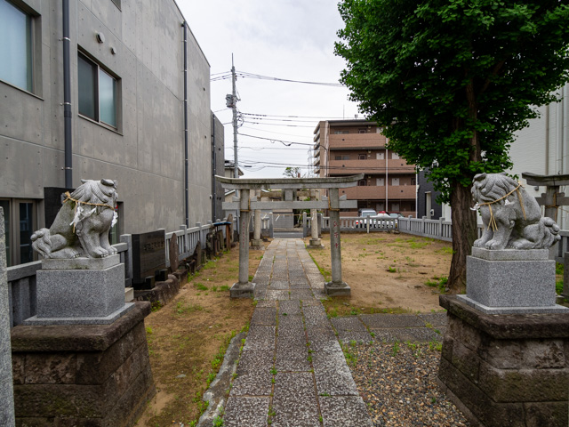 画像を別ウィンドウで表示します 画像