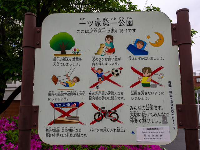 画像を別ウィンドウで表示します 画像