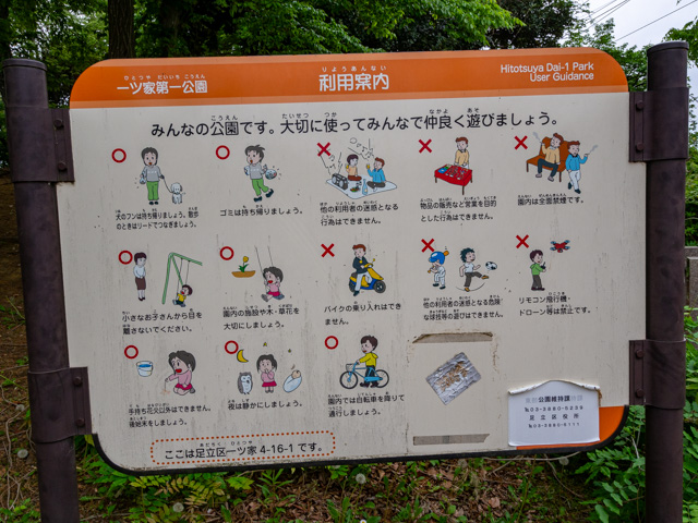 画像を別ウィンドウで表示します 画像