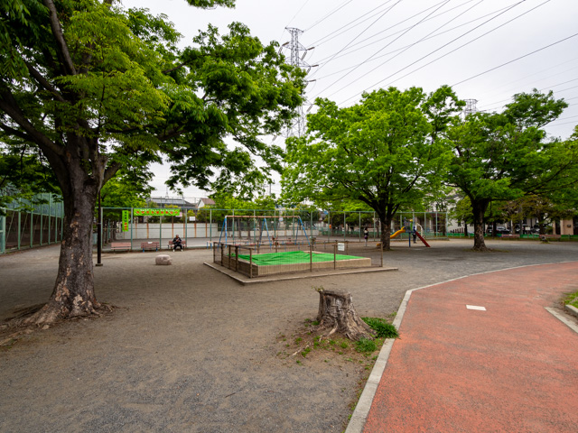 画像を別ウィンドウで表示します 画像