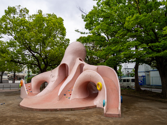 画像を別ウィンドウで表示します 画像