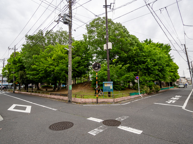 画像を別ウィンドウで表示します 画像