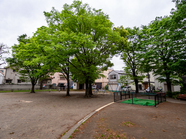 画像を別ウィンドウで表示します 画像