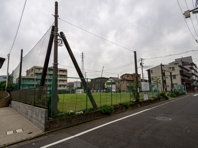 画像を別ウィンドウで表示します 画像