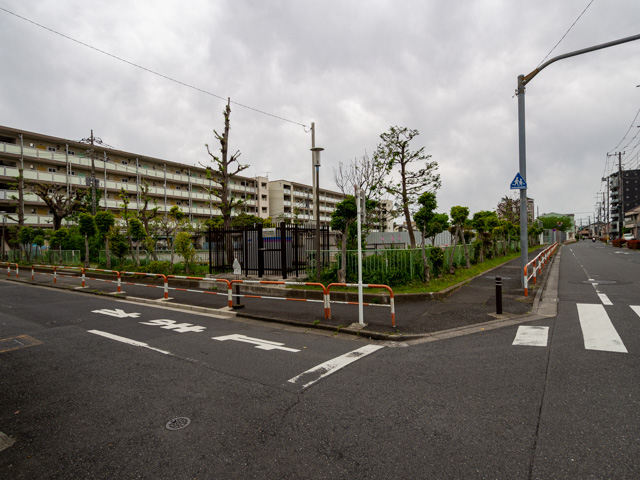 画像を別ウィンドウで表示します 画像