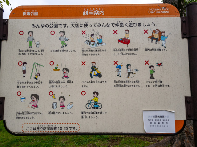 画像を別ウィンドウで表示します 画像