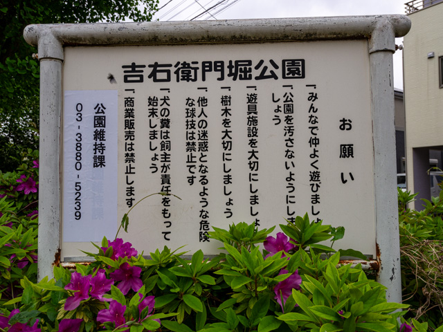 画像を別ウィンドウで表示します 画像
