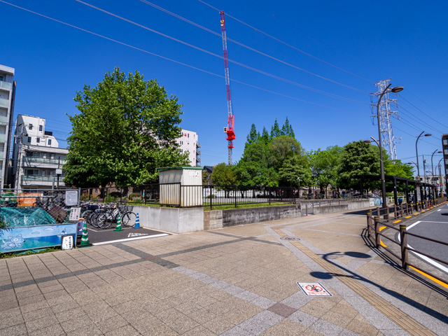 画像を別ウィンドウで表示します 画像