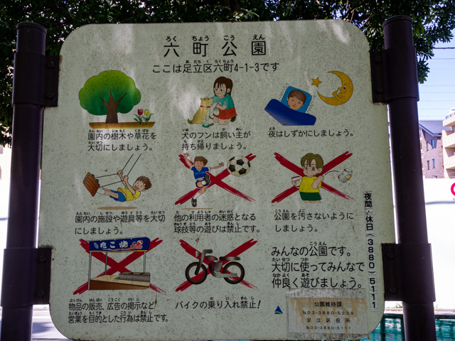 画像を別ウィンドウで表示します 画像
