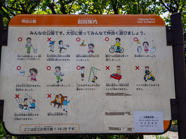 画像を別ウィンドウで表示します 画像