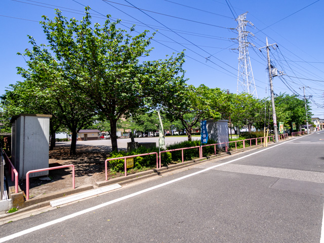 画像を別ウィンドウで表示します 画像
