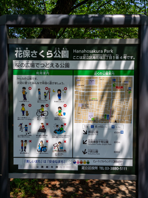 画像を別ウィンドウで表示します 画像