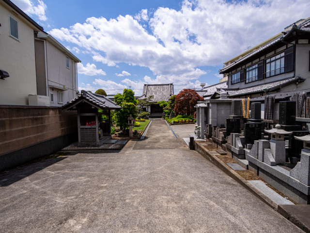 画像を別ウィンドウで表示します 画像
