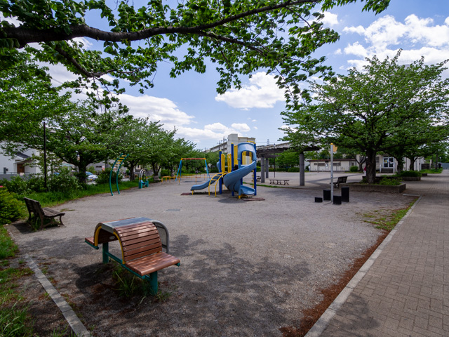 画像を別ウィンドウで表示します 画像