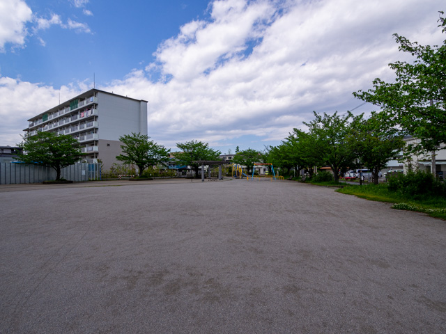 画像を別ウィンドウで表示します 画像
