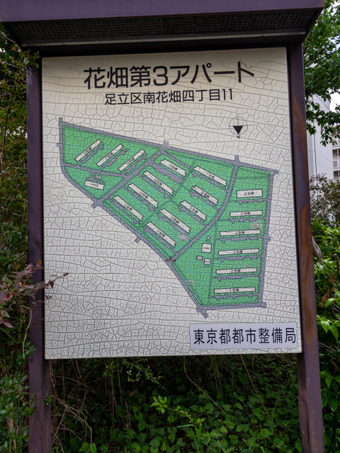 画像を別ウィンドウで表示します 画像